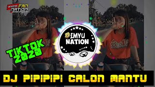Download Lagu dj pipipi calon mantu virall tiktok2020 MP3