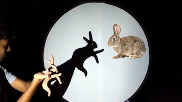 How To Make Rabbit Or Bunny by Shadow
