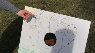 Kane County Cougars Project