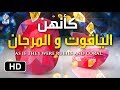 الحور العين كأنهن الياقوت والمرجان الشيخ سعيد بن مسفر       