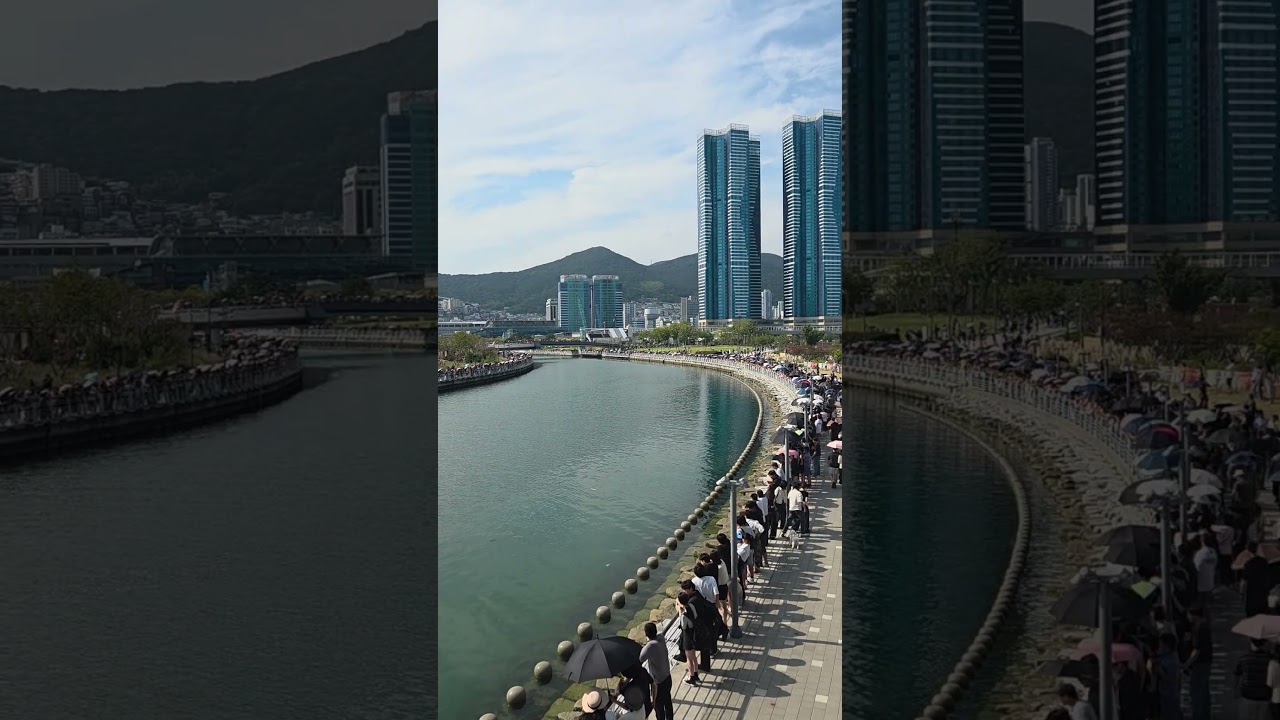 2026.9.24.부산 상어