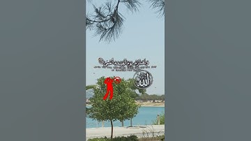 #اكسبلور #المصحف #kuran آيات قصيرة من القرآن حالات واتس آب