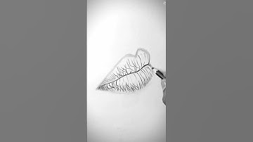 Realistic lips drawing tutorial #drawing #realisticlips #lipsdrawing #shorts #lipsdrawingtutorial