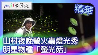 Nighttime Firefly Light Show.Special Species \\