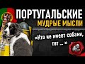 Португальские мудрые мысли, пословицы и поговорки, гениальные цитаты португальцев