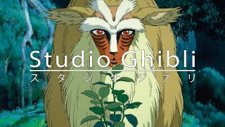 [Ghibli Music] 최고의 지브리 OST 노래 모음 | Studio Ghibli Piano Collection | 모노노케 공주,이웃집 토토로,마음의 속삭임, 반딧불이의 묘