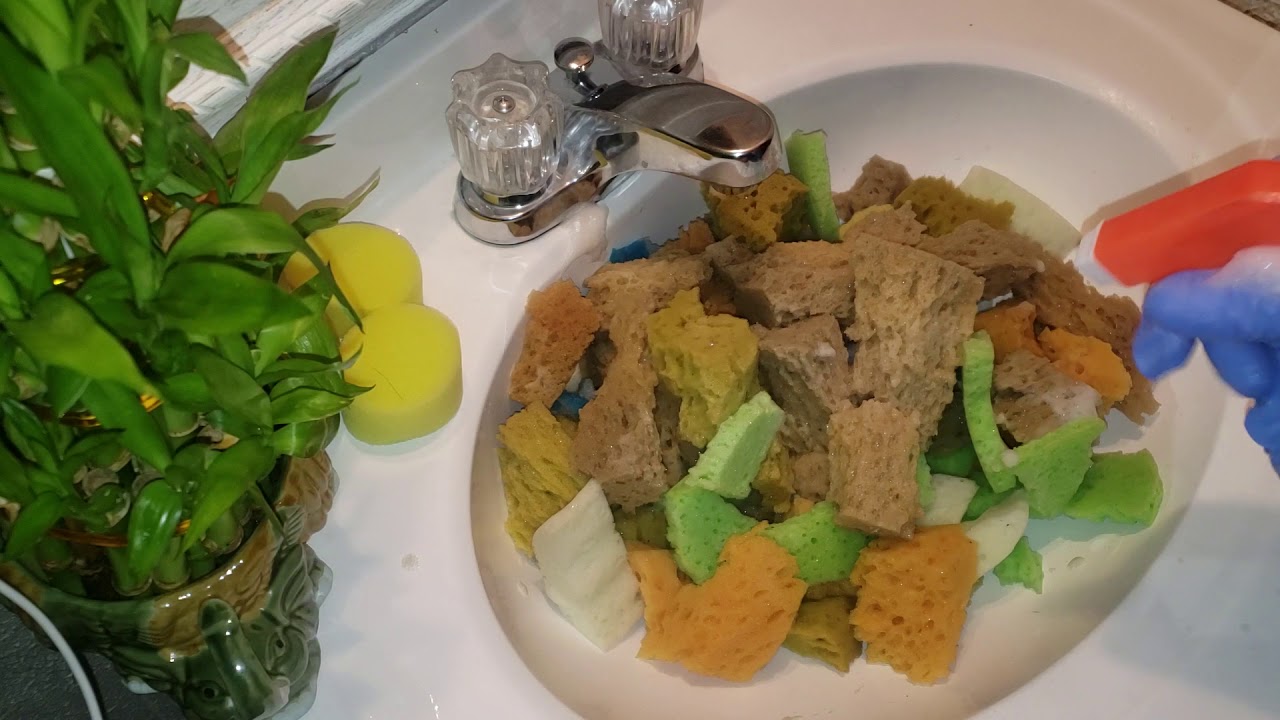 Sponge ripping, few sprays of pinalen & lil king pine