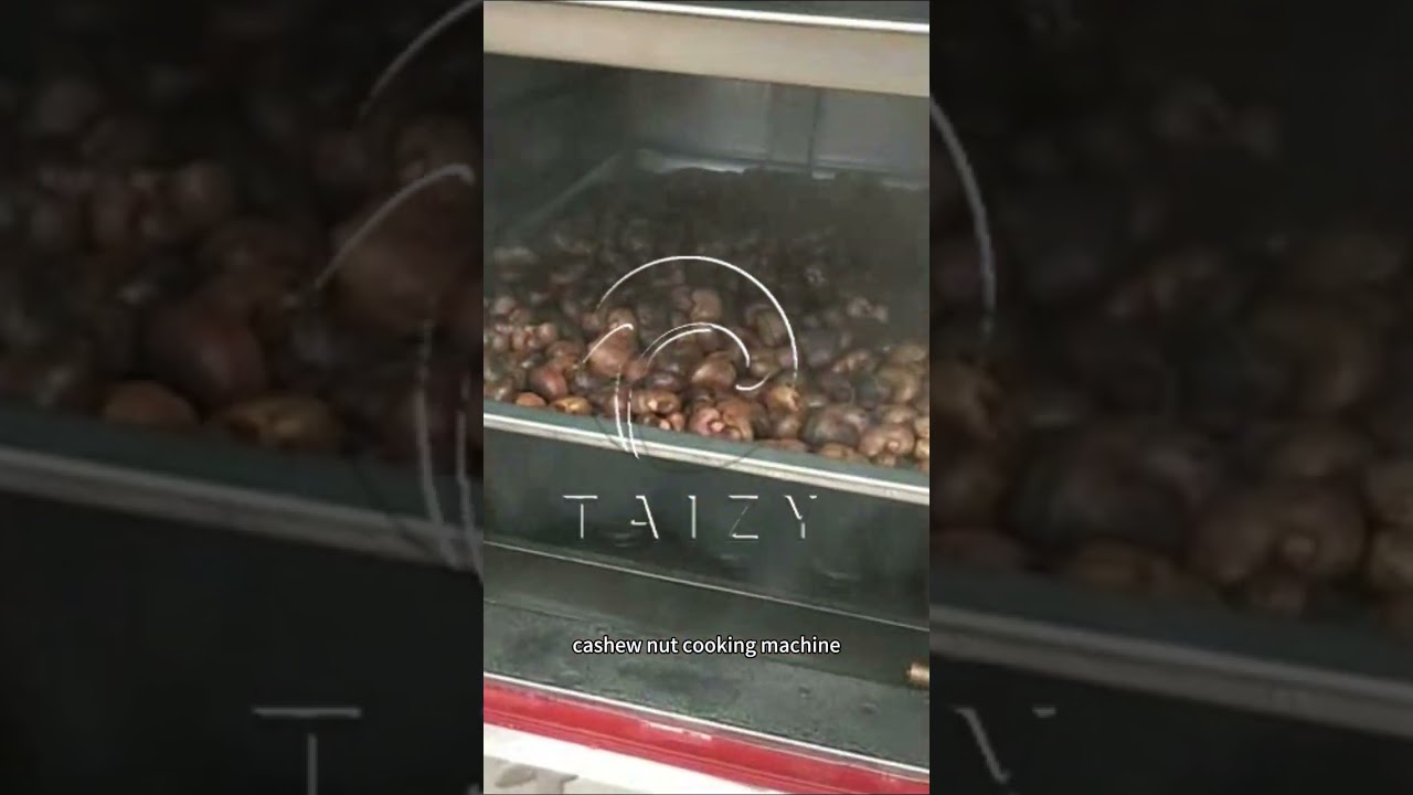Raw Cashew Boiling Processing Machine | Cashew Nut Cooking Machine