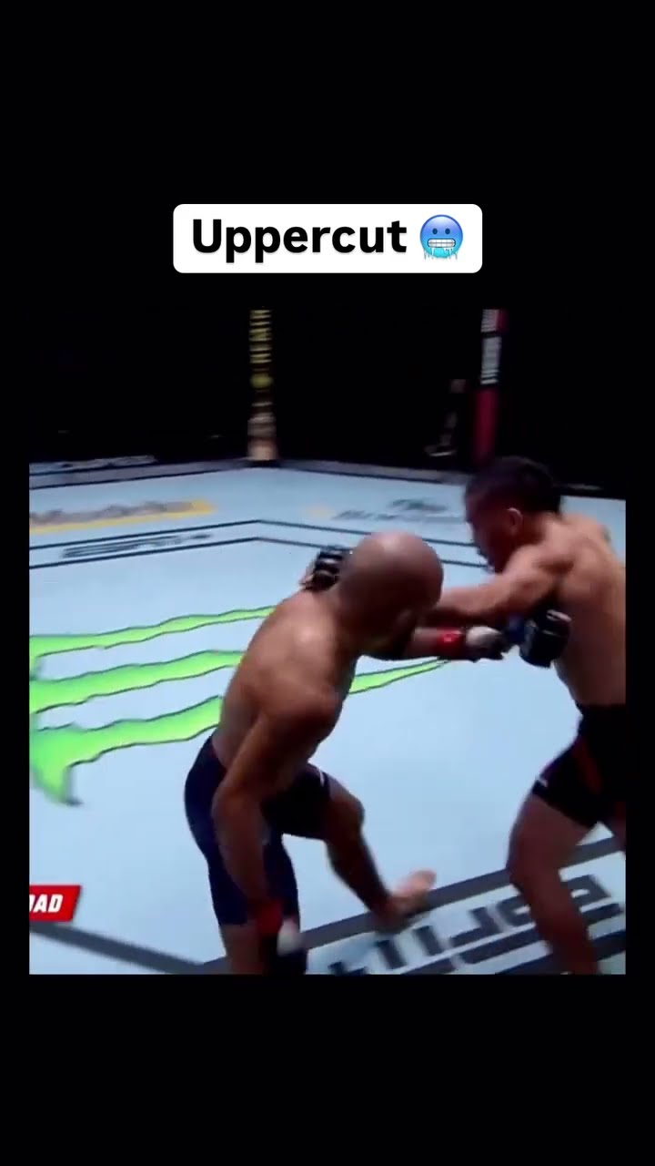 This Knockout ? Via - @ufc #mma #ufc #knockout