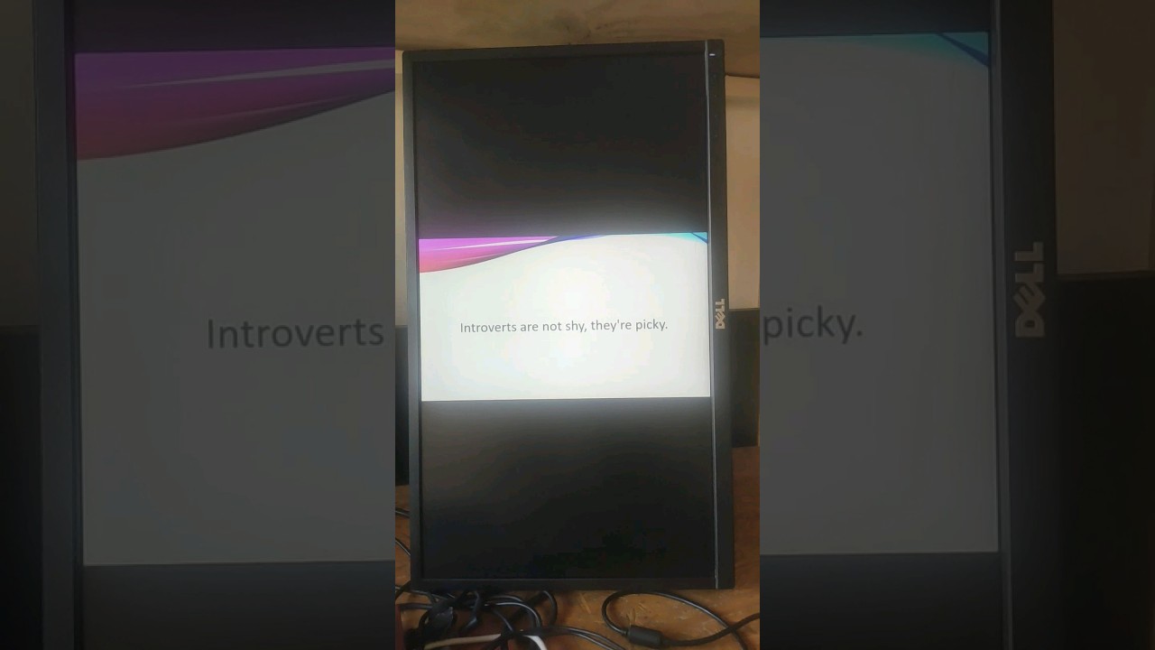 Introverts are not shy 