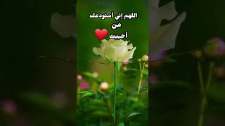 ياربي أحفظ لي من أراه نبضاً لقلبي 💓 وسعادة لحياتي 💖 اللهم أني أستودعك من أحببت ❤ ...