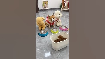 “Why do I always get the smallest one?”🥺😭 #shorts #viralvideo