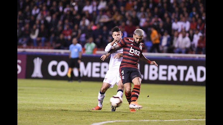 Liga de Quito vs Flamengo 2-1 Resumen Goles Copa Libertadores de America 2019 (24/04/19)