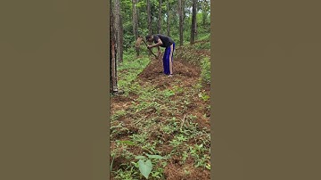 Smart way to dig with a hoe #shorts