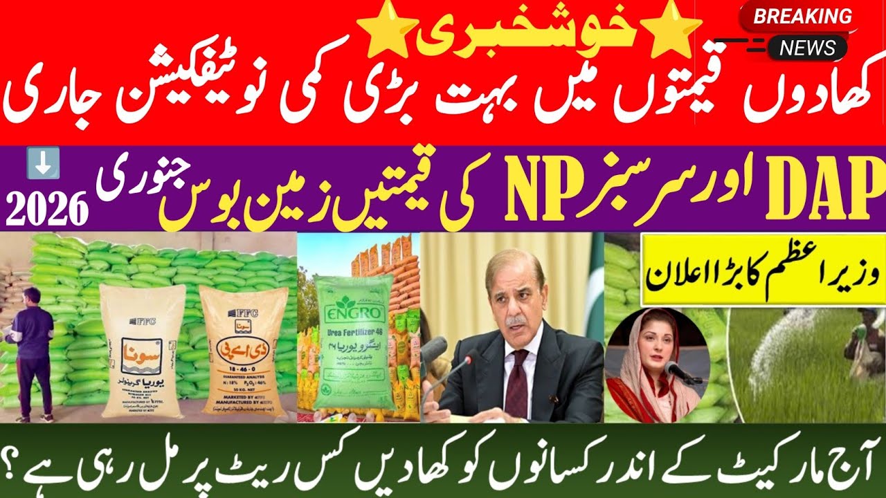 Pakistan fertilizer price today//All Fertilizers rates today//Urea, DAP, Engro, SOP, MoP Rates today