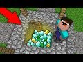 Minecraft NOOB vs PRO : NOOB FOUND TREASURE IN THE WELL THIS VILLAGE! Challenge 100% trolling