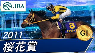 2016年桜花賞優勝馬 ジュエラー号のパネル 2016年桜花賞優勝馬 ジュエラー号のパネル 2016年桜花賞優勝馬