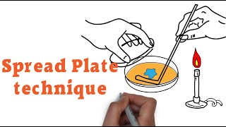 How to use Spread Plate technique