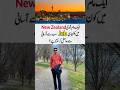 How to Get a Security Job in New Zealand | Jobs In New Zealand | Nile Consultant
