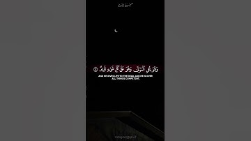 أم اتخذوا من دونه أولياء #تلاوة_خاشعة #المنشاوي #حالات #اكسبلور #تيك_توك #يوتيوب #فلسطين