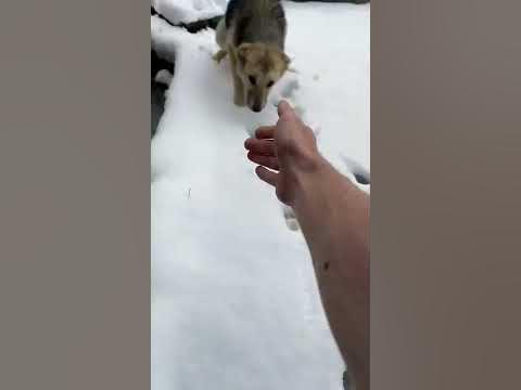 Бони🥰 - YouTube