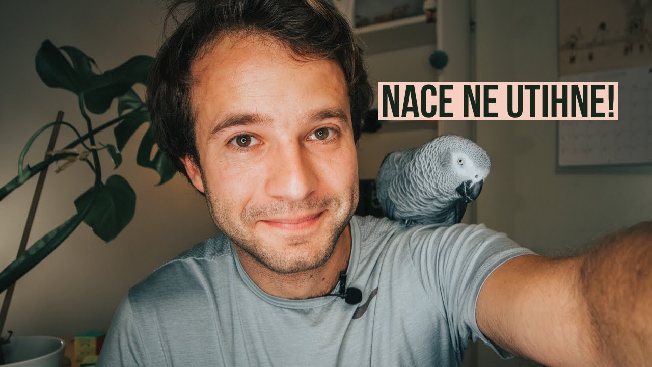 Organiziram Youtube SREČANJE in odgovarjam na vaša vprašanja!