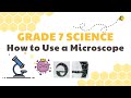 Microscope Usage and Magnification Quiz