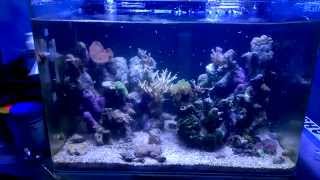 WP 20150407 17 47 38 Pro x264