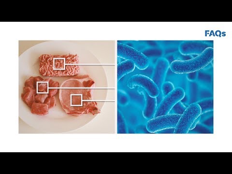 Food recalls are on the rise Why is it a good thing Just The FAQs