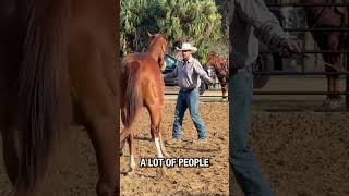 People forget this all the time