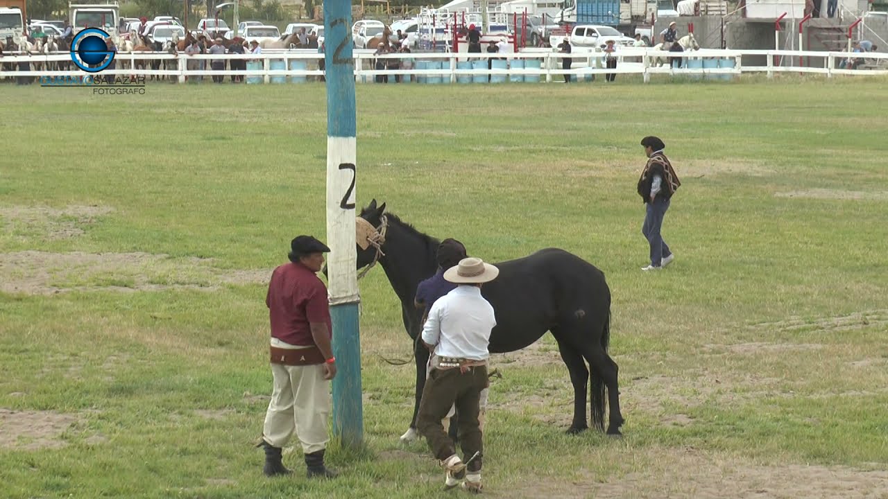 º44 Festival Provincial de Doma y flocklore 2017