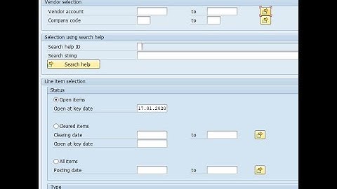 SAP Check clear item for vendor FBL1N