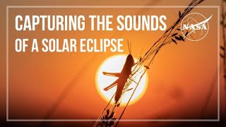 Help Nasa Capture The Sounds Of A Total Solar Eclipse!