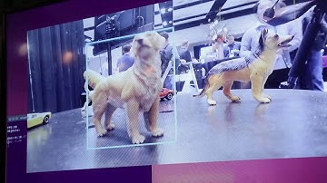 BDTI Demonstration of a Neural Network for Object Recognition