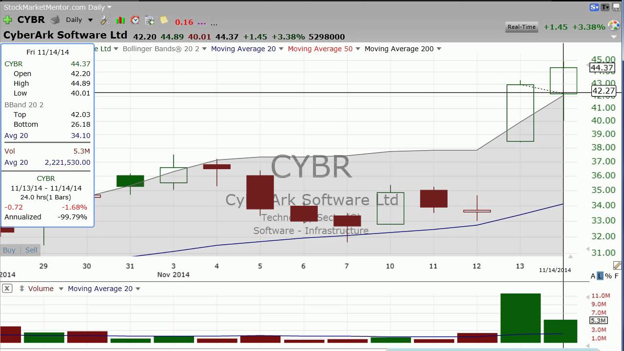 Stock market mentor options