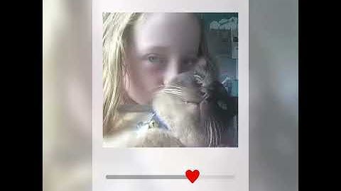 Vinkle App❤️❤️