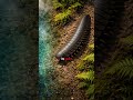 What Ended Arthropleura? #shorts