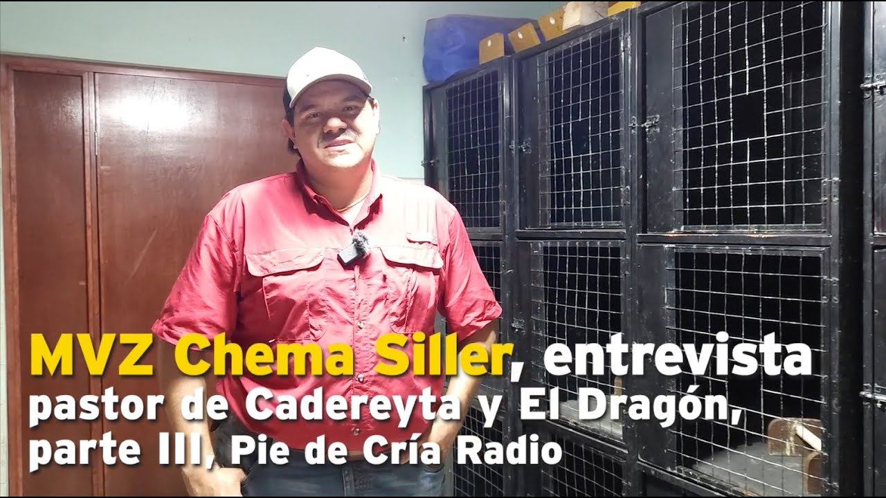 MVZ Chema Siller, pastor de Cadereyta y El Dragón, entrevista parte III, Pie de Cría.