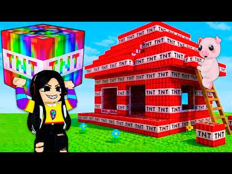 I build a house with TNT in Roblox and break the game 💣