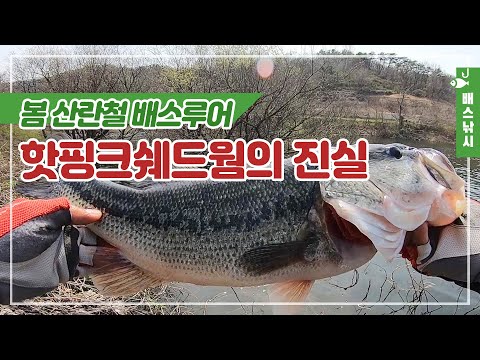 봄 산란철 배스낚시, 핫핑크 쉐드웜으로 한수 !! BIG Bass Fishing