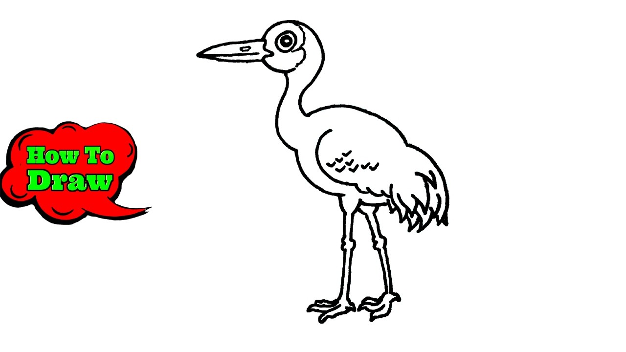 How To Draw A Sandhill Crane Bird | Crane Bird Drawing Easy - YouTube