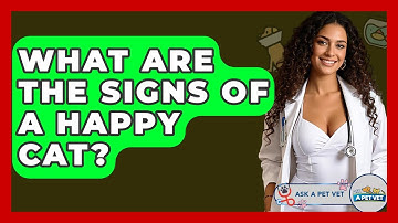 What Are The Signs Of A Happy Cat? - Ask A Pet Vet