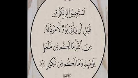 استجيبوا لربكم من قبل أن يأتي يوم لا مرد له من الله / و القارئ عبد الرحمن ابو الغيط