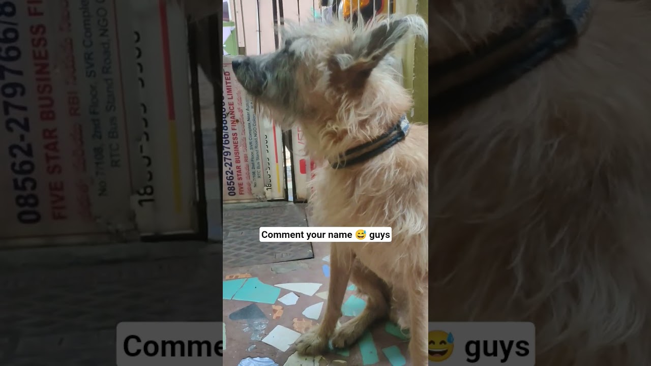 #please_subscribe_my_channel #love #viewskaisebadhaye