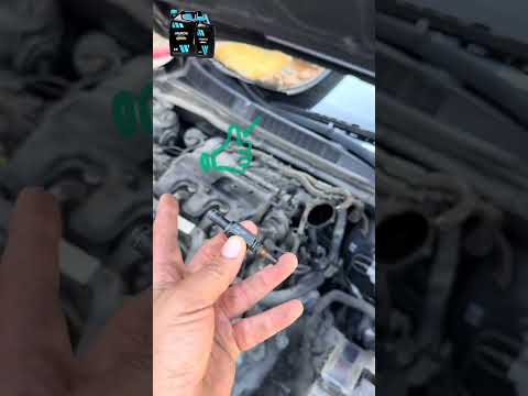 بلف الخير الزيت