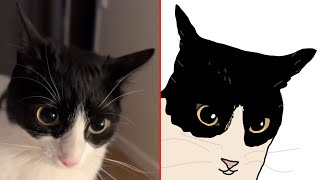 😂Cat Memes: Funniest Animals😂 Funny Cats and Dogs | Cat Memes - Drawing Meme