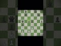 Bobby Fischer Brilliancy!! (2) #chess #chessgame #chessgrandmaster #chessplayer #bobbyfischer