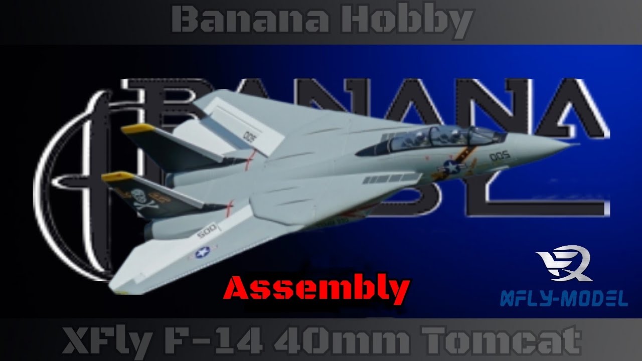 Assembly, XFly F-14 Twin 40mm EDF from Banana Hobby (including