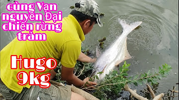 QUÁI THÚ NỬA RỒI, CÙNG VẠN NGUYỄN THU PHỤC QUÁI THÚ RỪNG TRÀM - FISHING