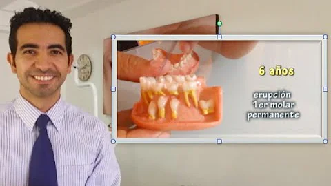 ¿Cuántos dientes tiene un niño de 12 años?
